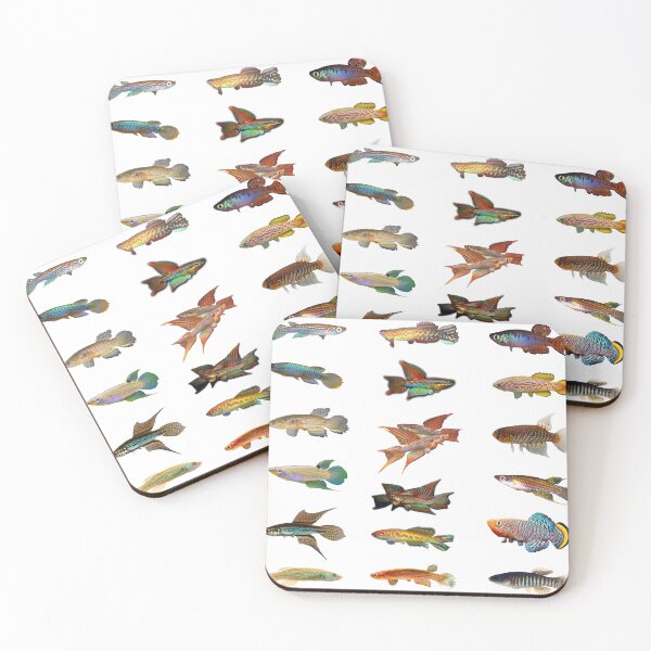 Item preview, Multiple Killifish Pattern - rachovii, bitaeniatum, and more designed and sold by killies.