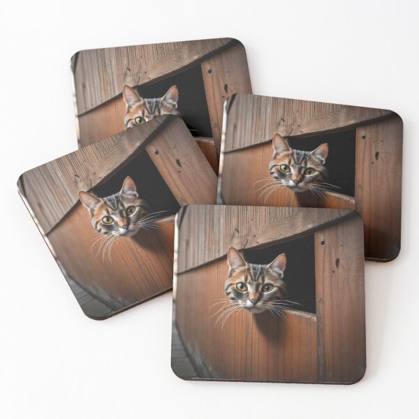 Item preview, Funny Cat Bumper Cute Cat Lover Kitten Bumper Car I Love My Rotten Ungrateful Cat Tell Your Cat i Said pspsps designed and sold by MatthewViews.