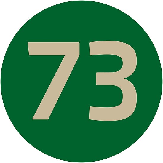 "73 The Best Number Big Bang Numbers Puzzle Theory" Poster by HelenStorm Redbubble