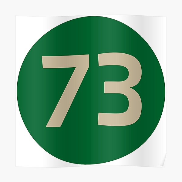 "73 The Best Number Big Bang Numbers Puzzle Theory" Poster by HelenStorm Redbubble