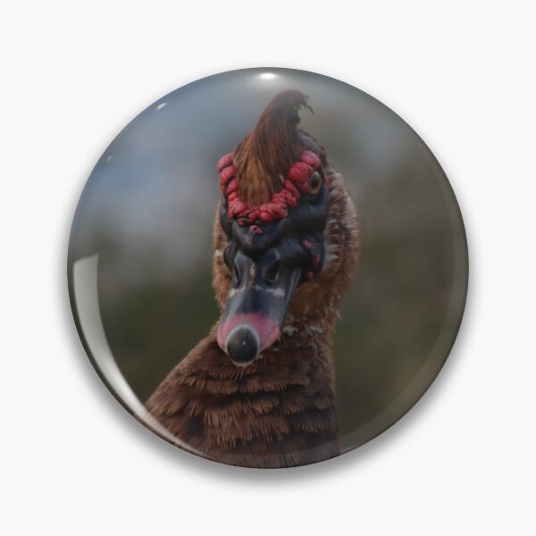 Item preview, Duck with Astounding Mohawk designed and sold by thatpersonsoph.
