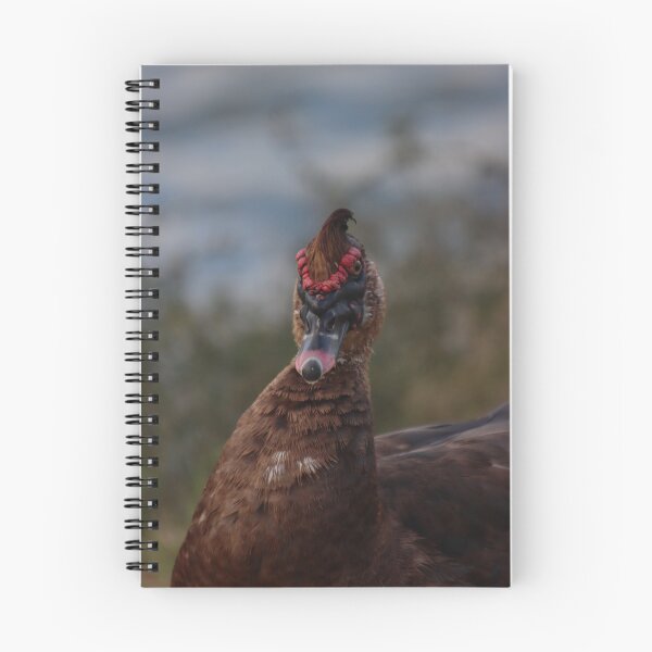 Item preview, Duck with Astounding Mohawk designed and sold by thatpersonsoph.