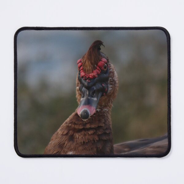 Item preview, Duck with Astounding Mohawk designed and sold by thatpersonsoph.