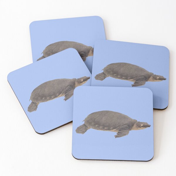 Item preview, Aquatic Turtle designed and sold by bunnyfishing.