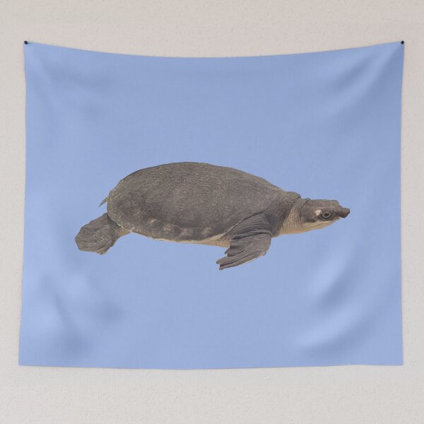 Item preview, Aquatic Turtle designed and sold by bunnyfishing.