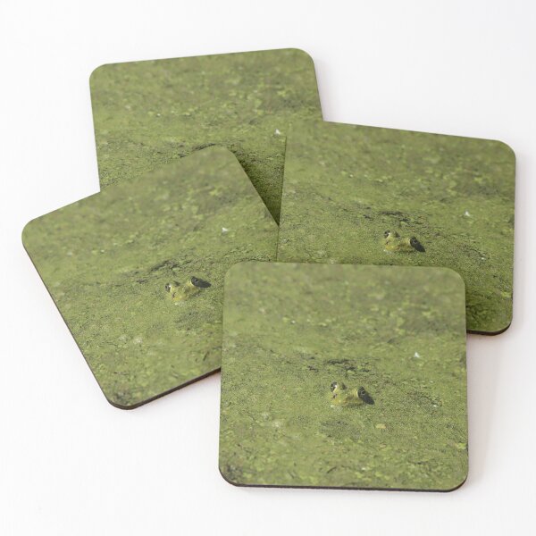 Item preview, Frog Hiding Among the Algae designed and sold by thatpersonsoph.