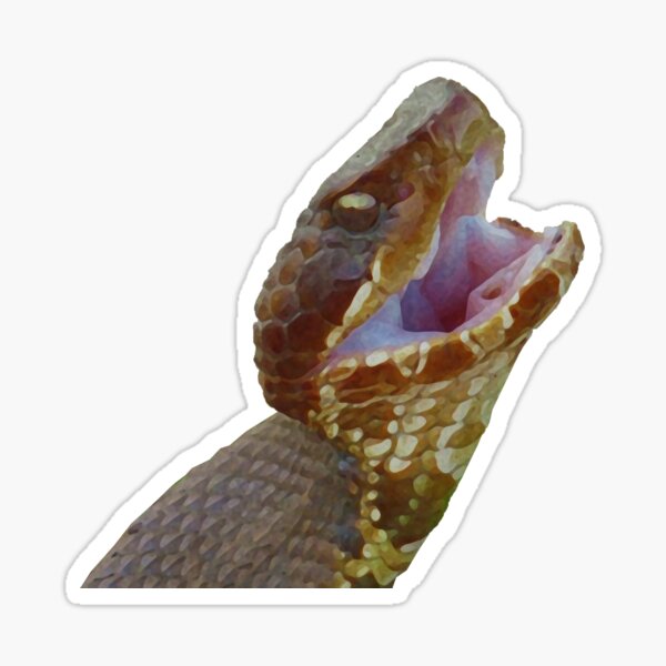 "Cottonmouth" Sticker by ospr3y Redbubble
