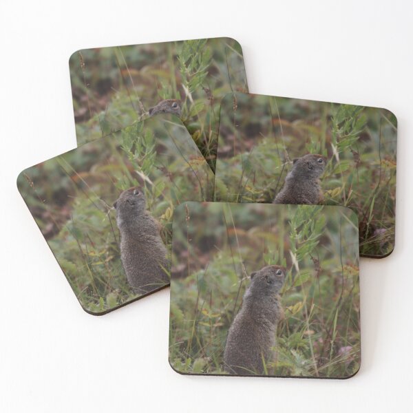 Item preview, Prarie Dog Standing Tall designed and sold by thatpersonsoph.