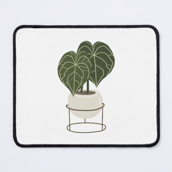 Item preview, Anthurium Clarinervium designed and sold by A Simple Day..