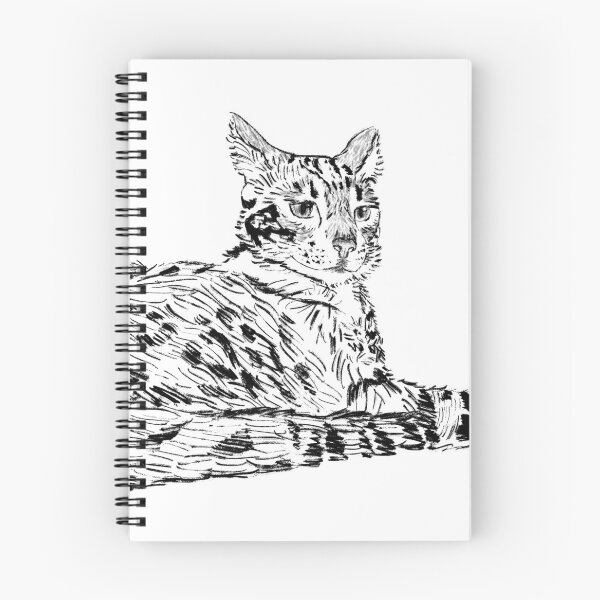 Item preview, Bengal Drumstick designed and sold by amymay0725.