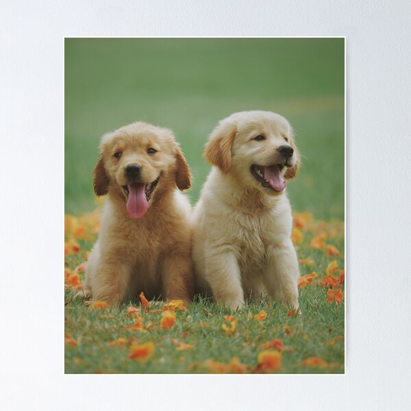 Item preview, Two Friends Golden Retriever Puppies designed and sold by VanGaldo.