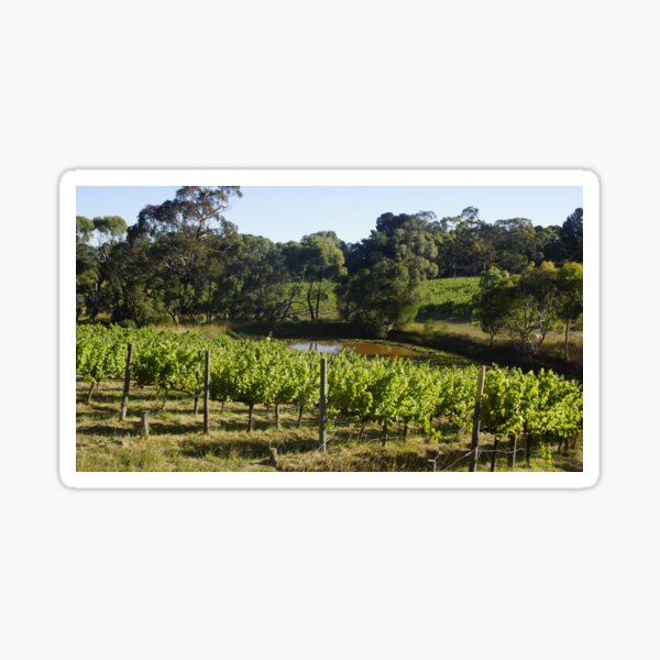 Item preview, Grape Vines and Lilly Pond by Adelaide artist Avril Thomas at Magpie Springs designed and sold by MagpieSprings.