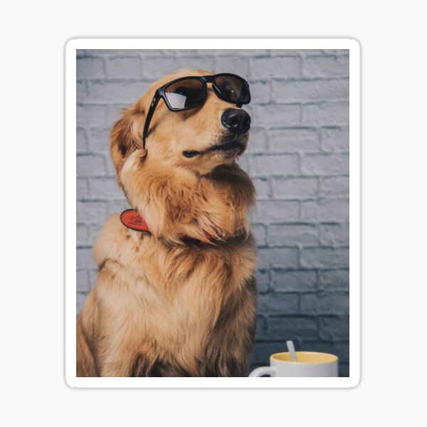 Item preview, Golden Retriever-Hund trägt eine Sonnenbrille designed and sold by VanGaldo.