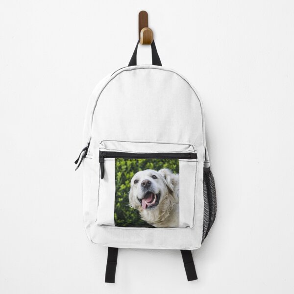 Item preview, Funny Looking Golden Retriever Dog designed and sold by VanGaldo.