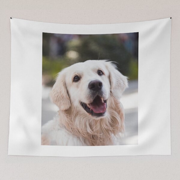 Item preview, Cute Photo of Golden Retriever Dog designed and sold by VanGaldo.