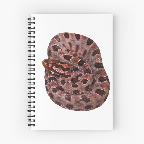 Item preview, Pigmy Rattlesnake designed and sold by Liam Wolff.