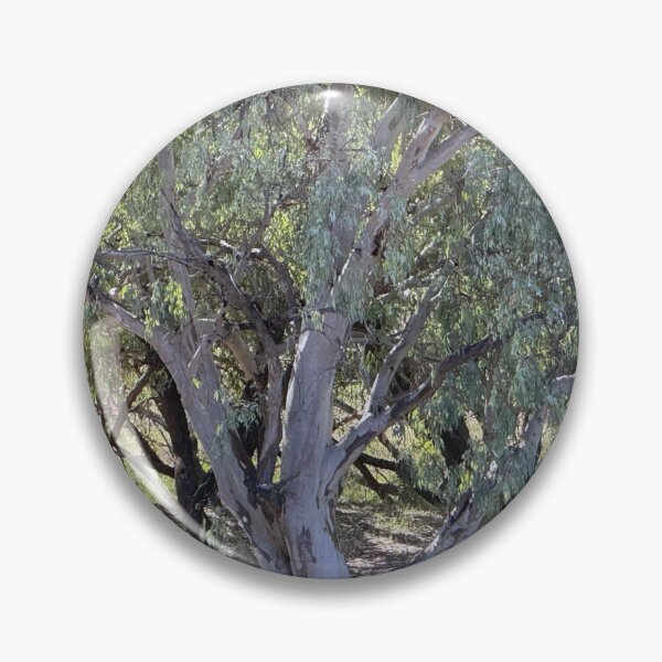 Item preview, Trees On the Banks of the Warrego designed and sold by ComicJo.