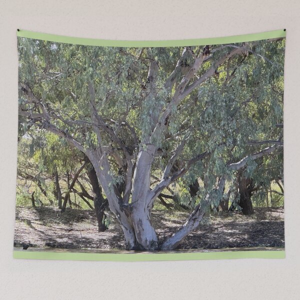 Item preview, Trees On the Banks of the Warrego designed and sold by ComicJo.