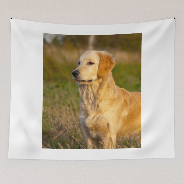 Item preview, Golden Retriever Dog Wandering on the Field designed and sold by VanGaldo.