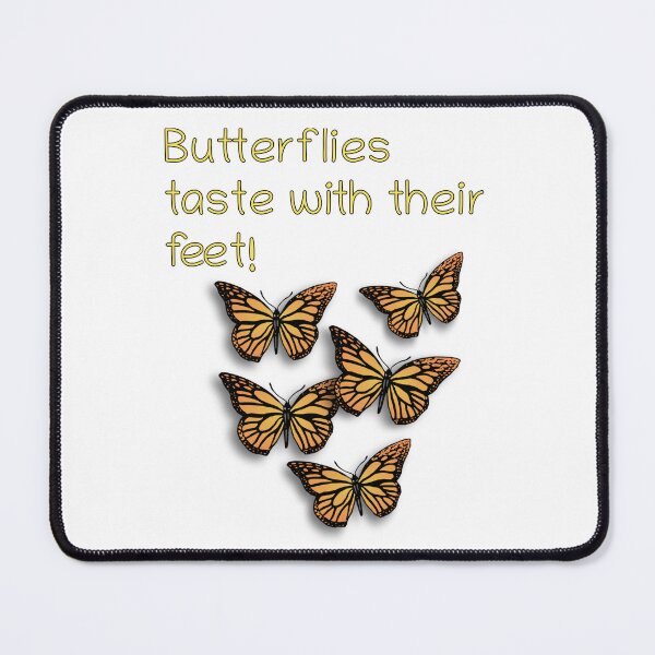 Item preview, Butterflies - Did you know? designed and sold by Nas-T-Shirt-Co.
