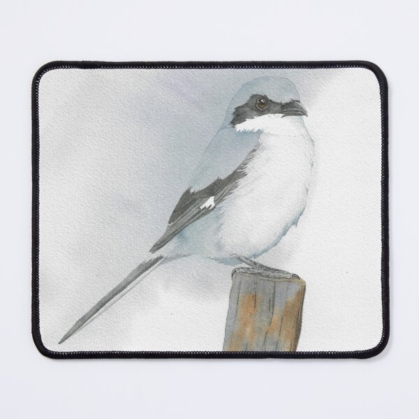 Item preview, Loggerhead shrike bird watercolor portrait designed and sold by L'Atelier Oranjade.