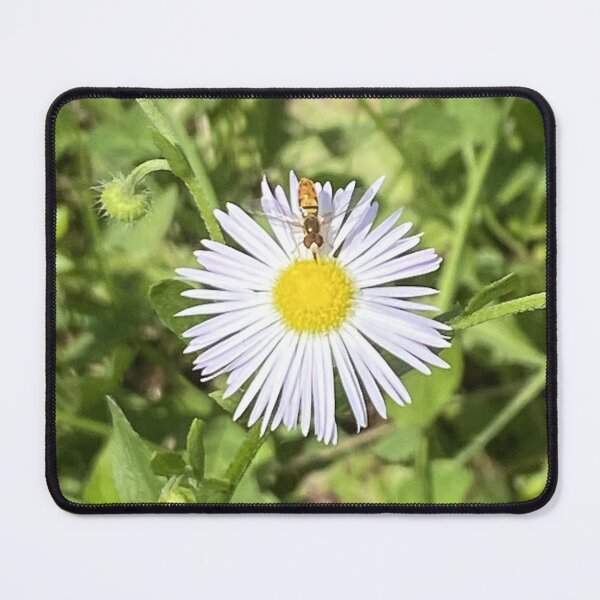 Item preview, Bug Getting a Snack designed and sold by Mychaila's Creations.