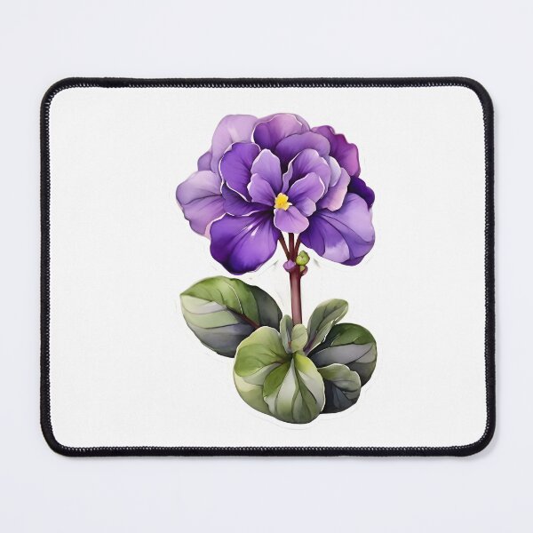 Item preview, African Violet (Saintpaulia) designed and sold by HOMETOWN86.