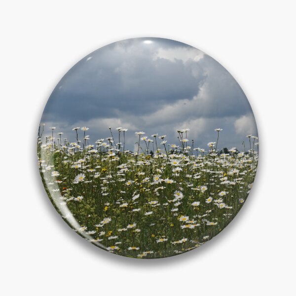 Item preview, A field of daisies in bloom designed and sold by Claude Laprise.