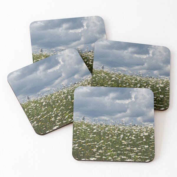 Item preview, A field of daisies in bloom designed and sold by Claude Laprise.