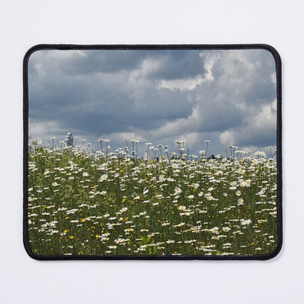 Item preview, A field of daisies in bloom designed and sold by Claude Laprise.