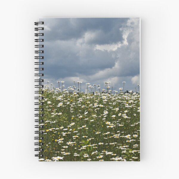 Item preview, A field of daisies in bloom designed and sold by Claude Laprise.
