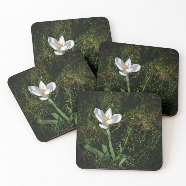 Item preview, "Nature's Delight: Close-Up of a White Crocus Bathed in Sunlight designed and sold by InbalTurShalom.