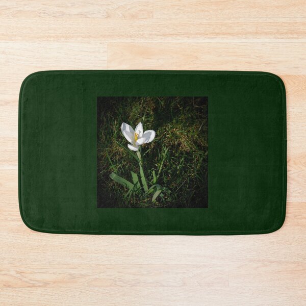 Item preview, "Nature's Delight: Close-Up of a White Crocus Bathed in Sunlight designed and sold by InbalTurShalom.