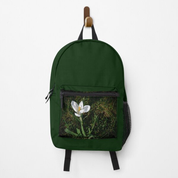 Item preview, "Nature's Delight: Close-Up of a White Crocus Bathed in Sunlight designed and sold by InbalTurShalom.