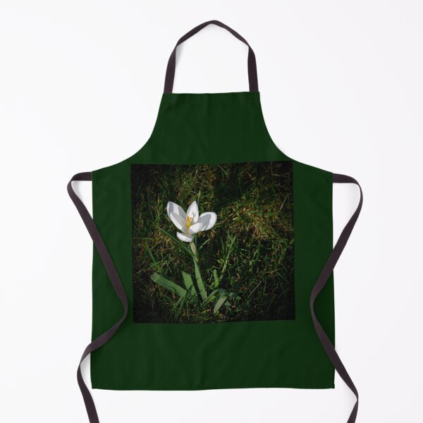 Item preview, "Nature's Delight: Close-Up of a White Crocus Bathed in Sunlight designed and sold by InbalTurShalom.