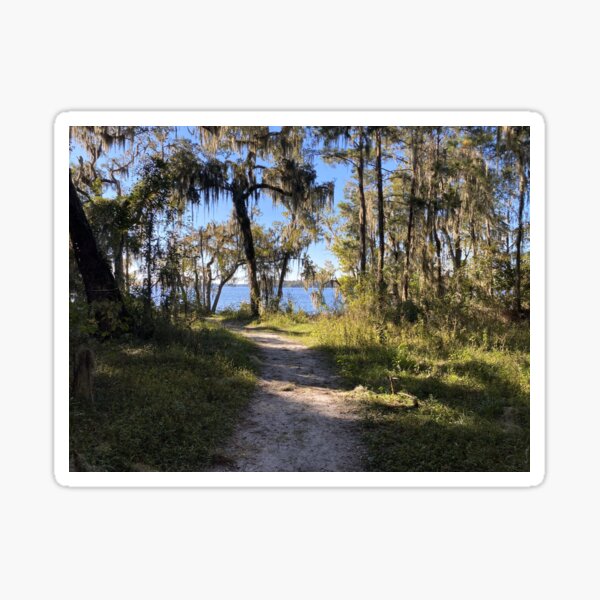 Item preview, Trail By The River designed and sold by Dennis Consorte.