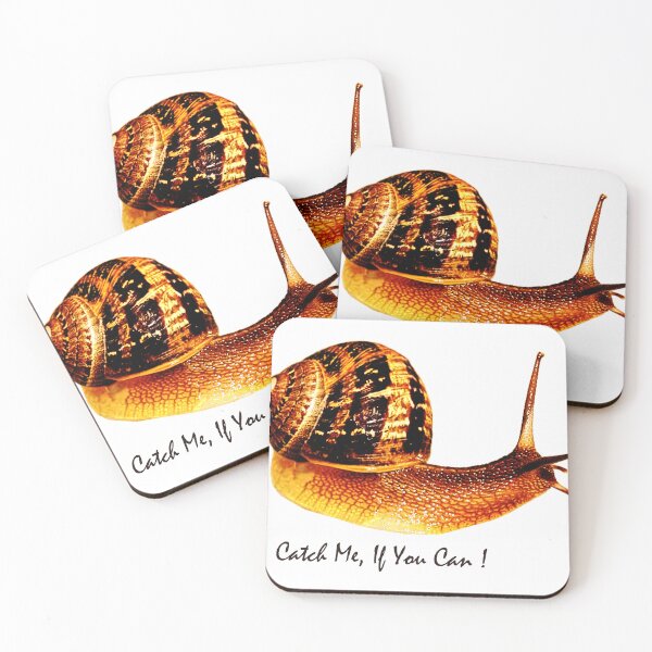 Item preview, Catch Me, If You Can designed and sold by Asok Mukhopadhyay.