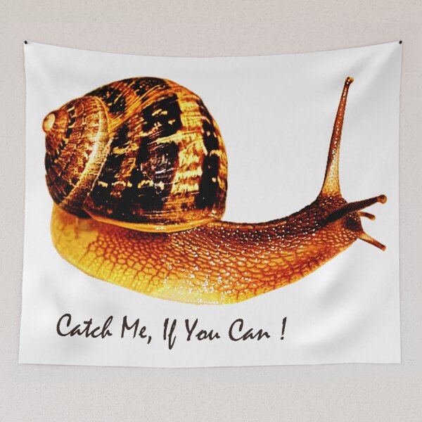 Item preview, Catch Me, If You Can designed and sold by Asok Mukhopadhyay.