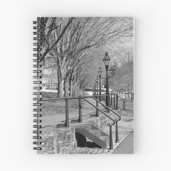 Item preview, Tall Black Elegant Lamp Posts Smithville Mansion designed and sold by BradKnorrArt.