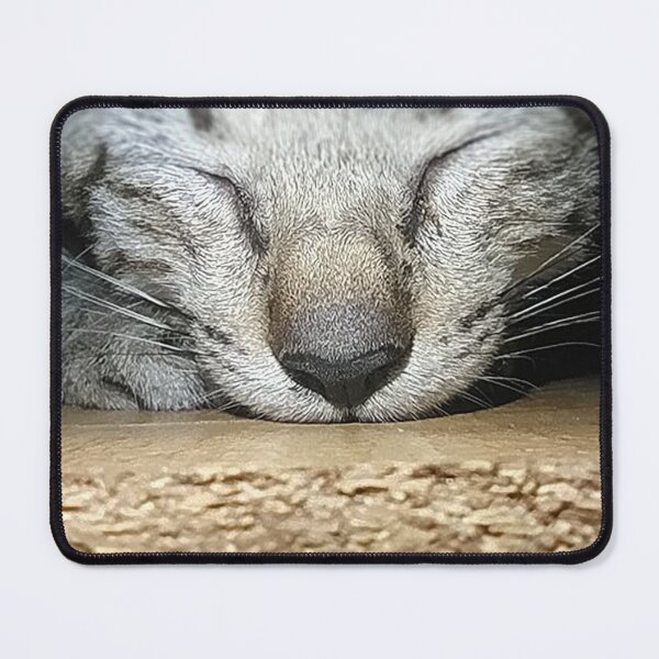 Item preview, Kitten Captured designed and sold by dreamCreati0ns.