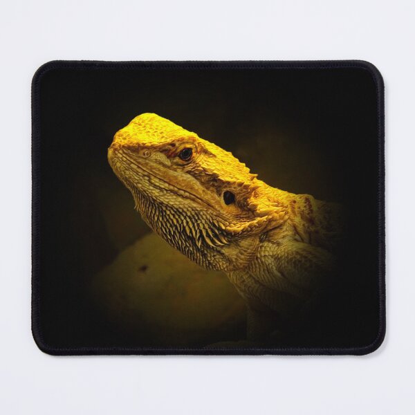 Item preview, Pogona designed and sold by Guardi71.