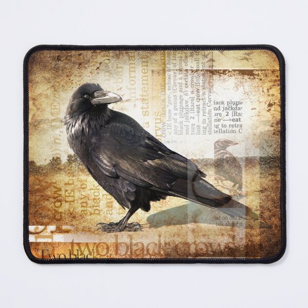 Item preview, "CROW in My BackYard" STUDY designed and sold by Pat McNeely.
