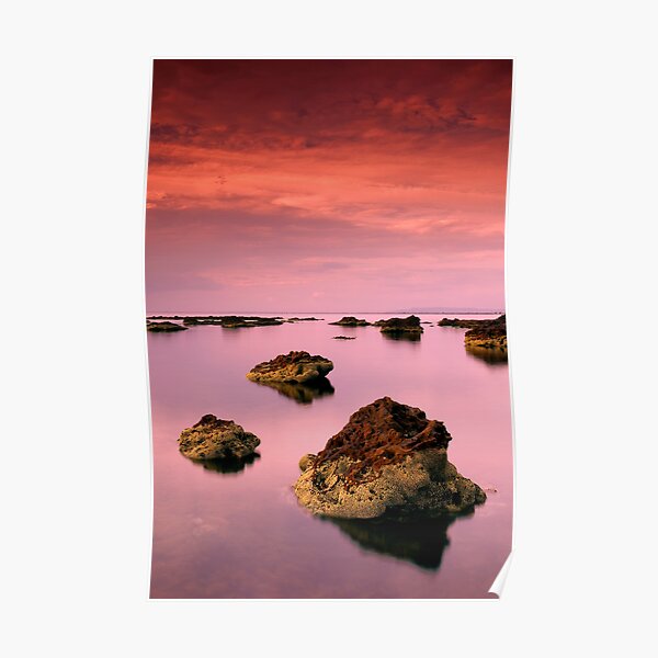 Pelican Point Poster