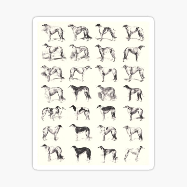 Martynow Borzoi 28 Vintage Sketches Sticker