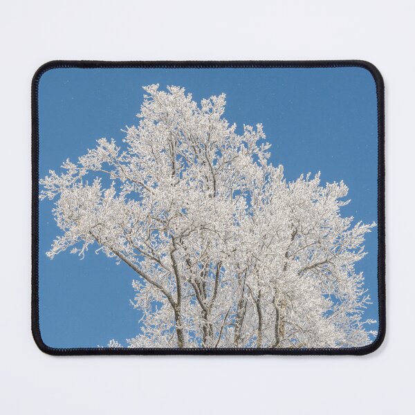 Item preview, White frozen tree designed and sold by StohlerPhotos.