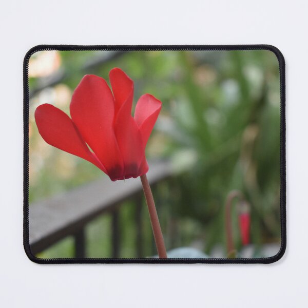 Item preview, Red cyclamen designed and sold by mariya-ivanova.