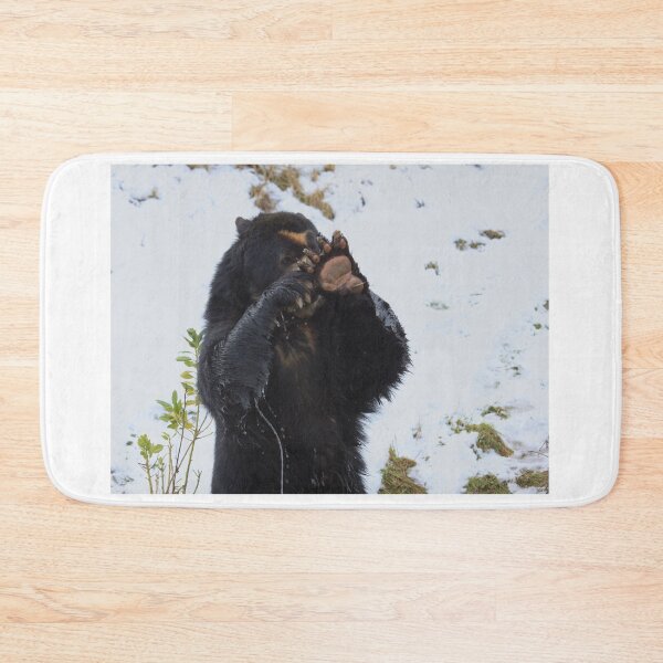 Item preview, No Not You Again! designed and sold by francophotos.