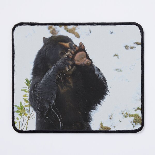 Item preview, No Not You Again! designed and sold by francophotos.