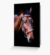 Raja Greeting Card