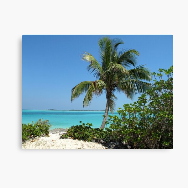 Pelican Cay Canvas Print